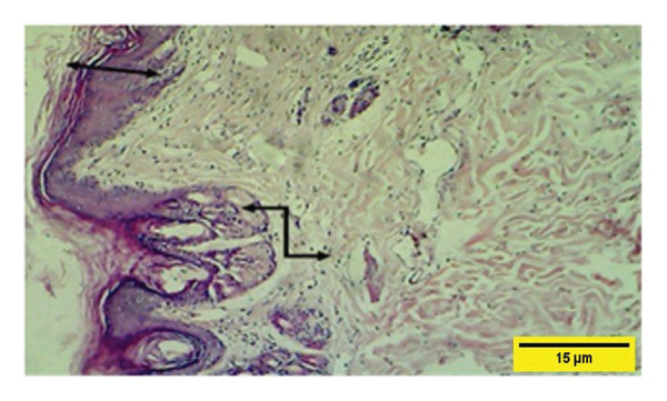 Figure 26