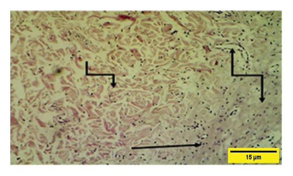 Figure 27
