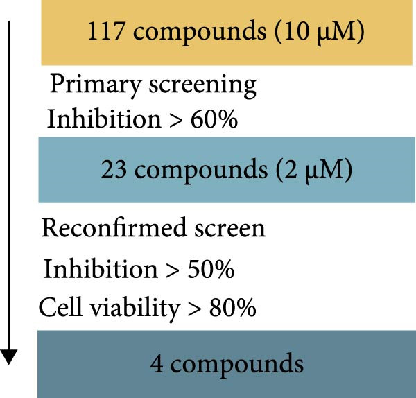 Figure 12