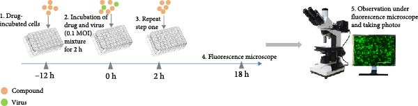 Figure 13