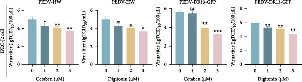 Figure 20