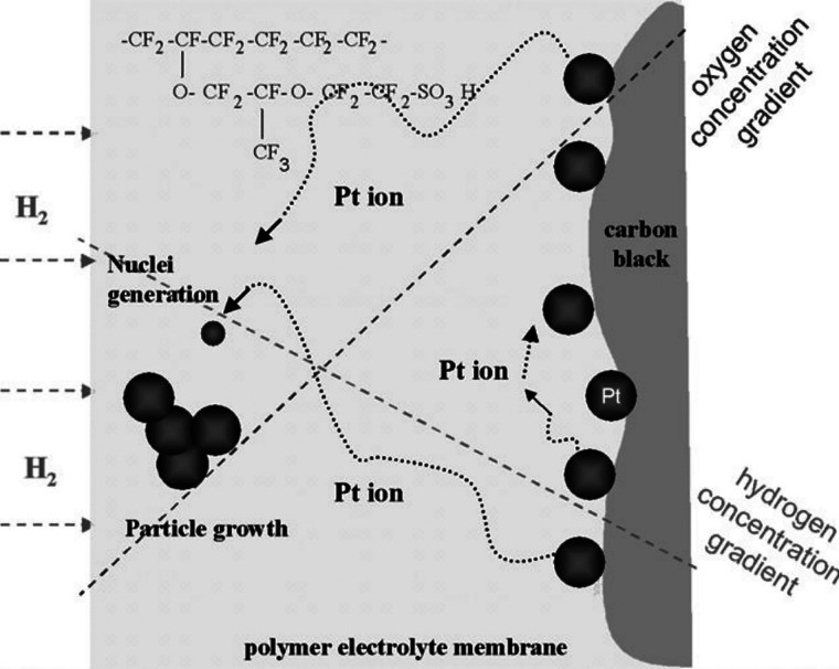 Figure 12