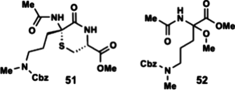 Figure 30