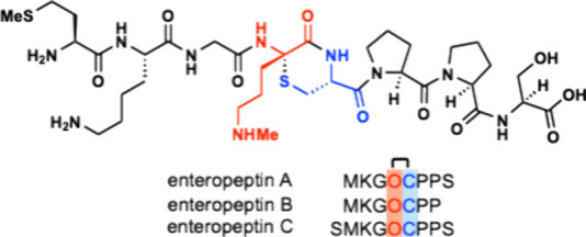 Figure 32