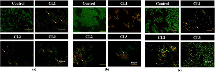 Figure 10