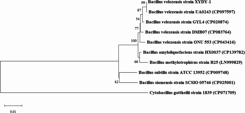 Figure 2