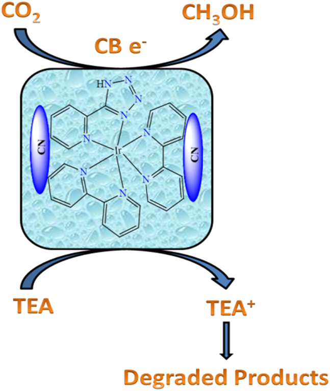Figure 22