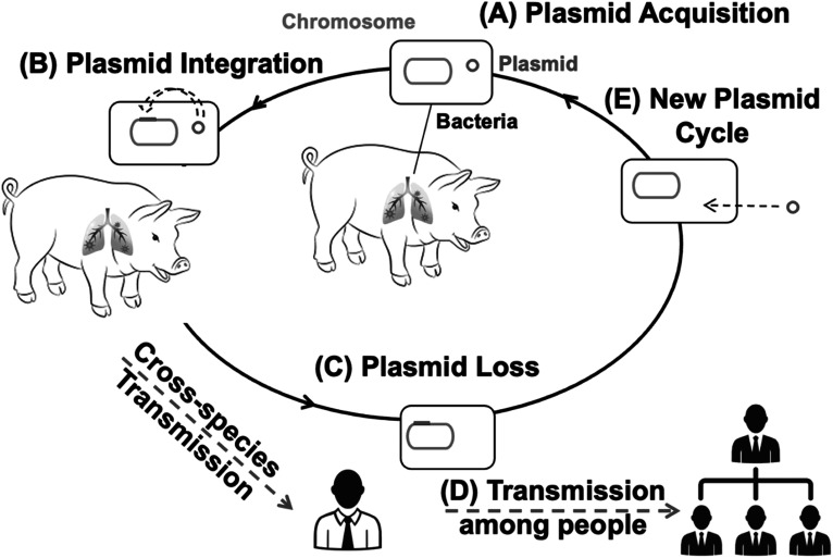 Figure 2