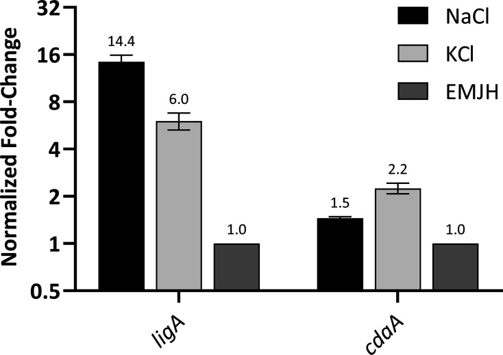 Figure 6