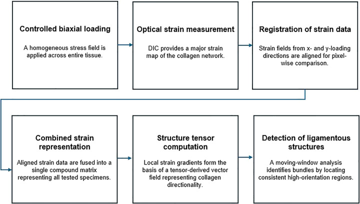 Figure 28