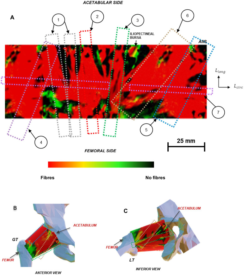 Figure 29