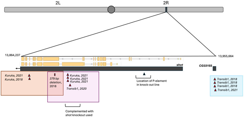 Figure 17
