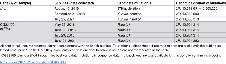 Figure 21