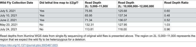 Figure 22