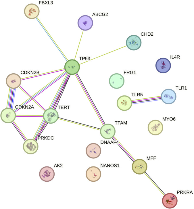 Figure 6
