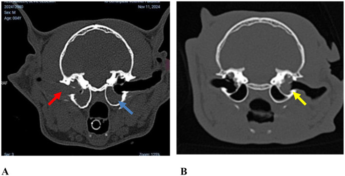 Figure 5