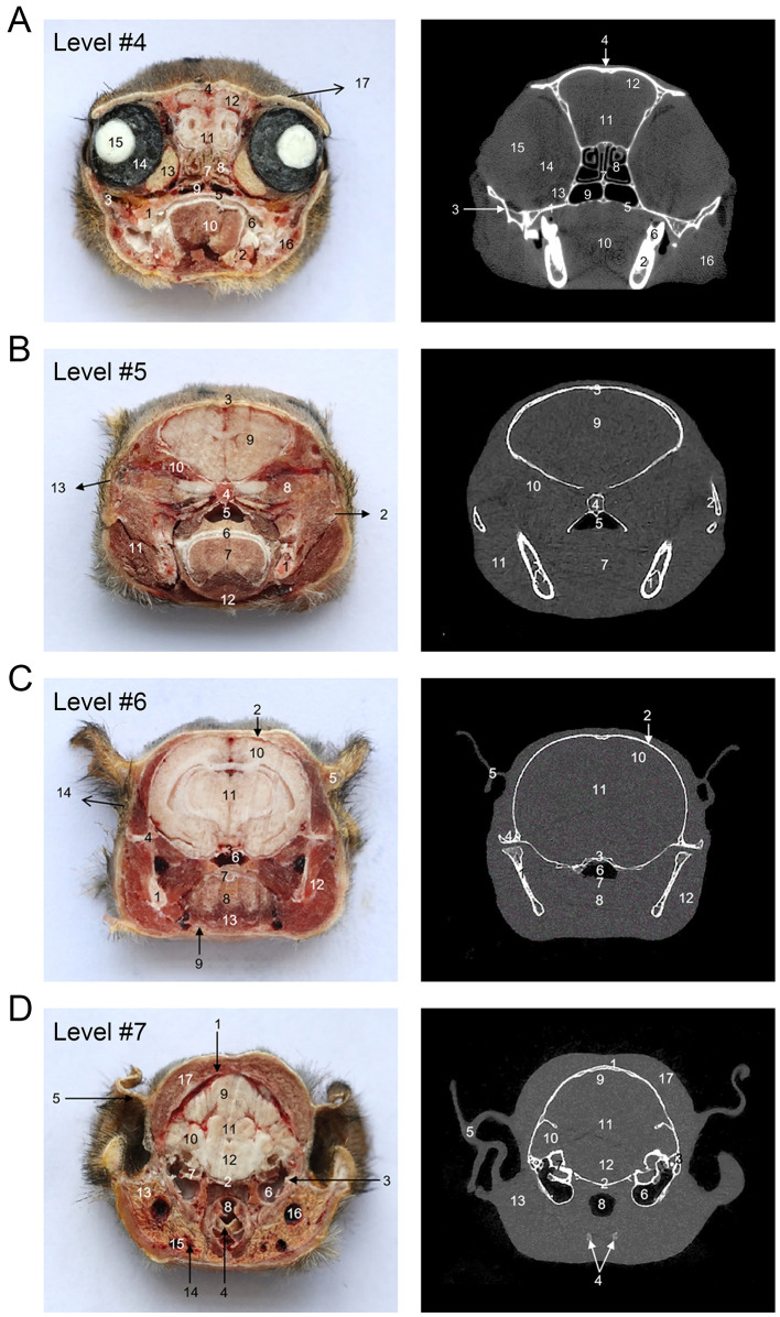 Figure 4