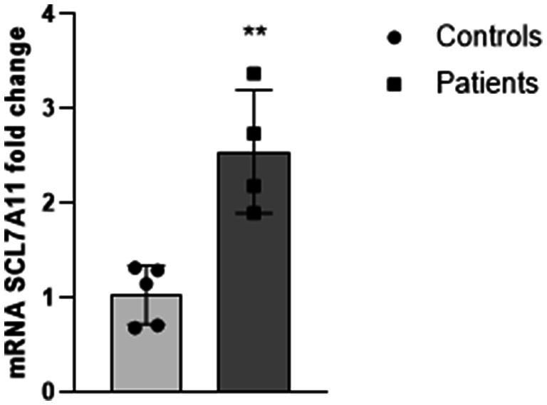 Figure 7