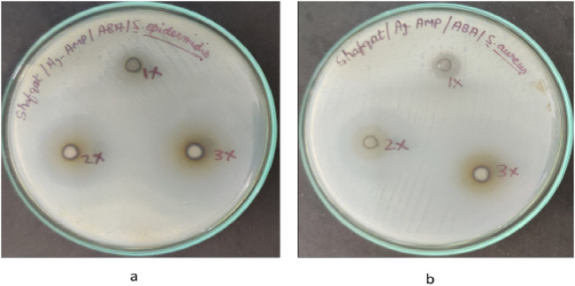 Figure 7