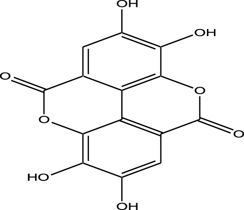 Figure 13