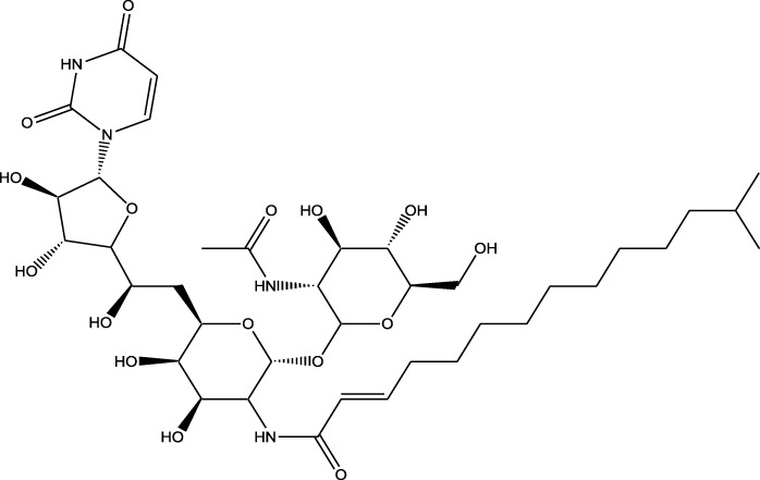 Figure 30