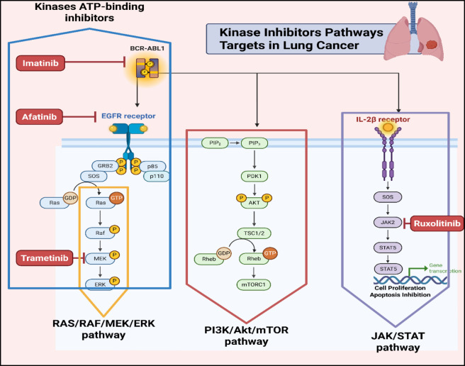 Figure 46