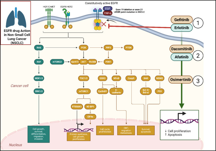 Figure 47