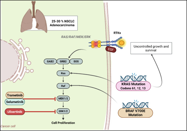 Figure 48