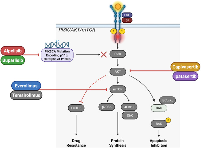Figure 49