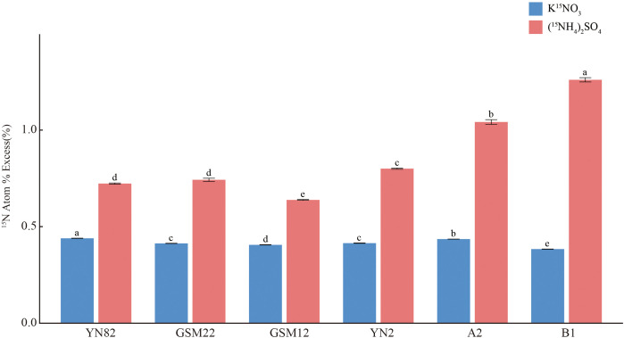 Figure 10