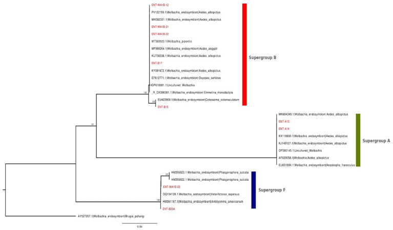 Figure 5