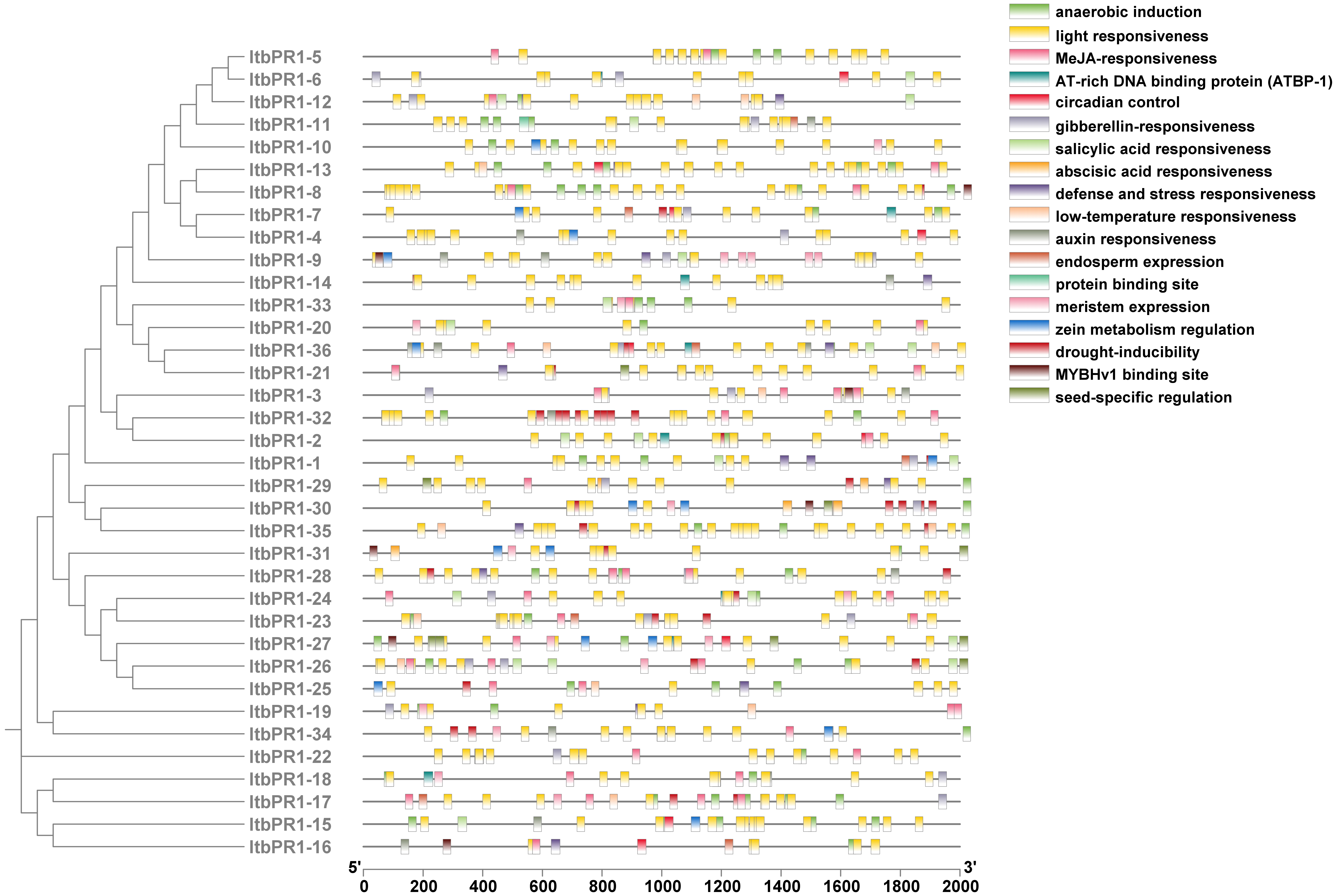 Figure 15