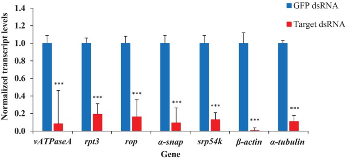 Figure 7