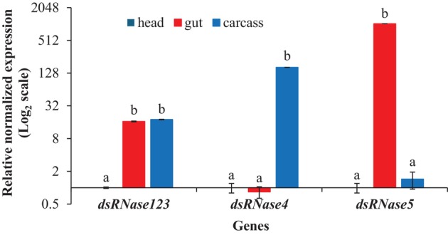 Figure 9