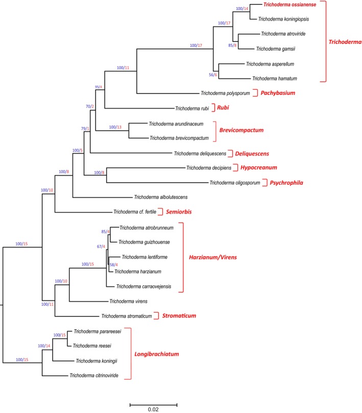 Figure 10
