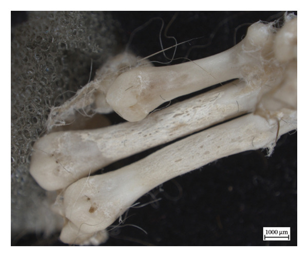 Figure 9