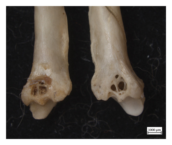 Figure 14