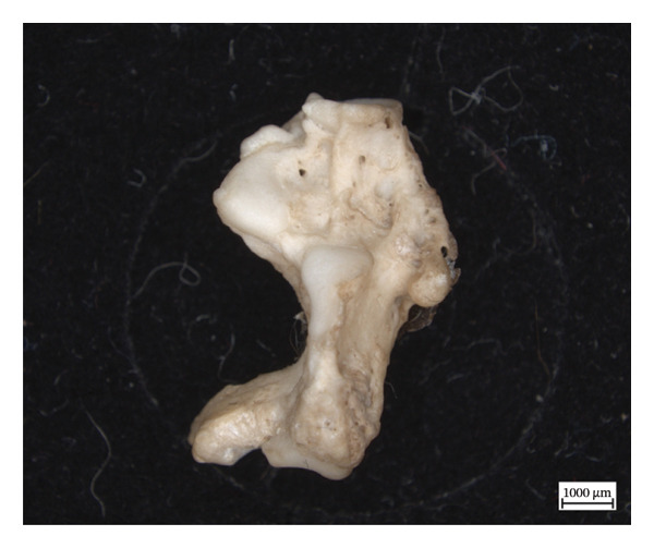 Figure 16