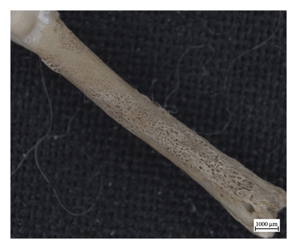 Figure 19