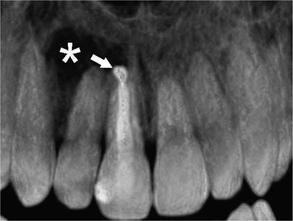 Figure 24