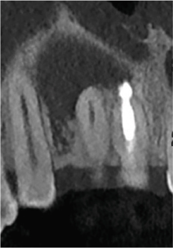 Figure 29