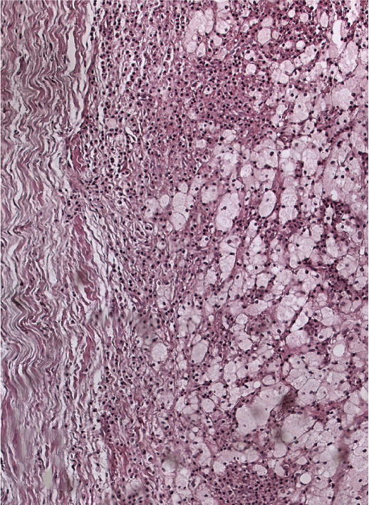 Figure 34