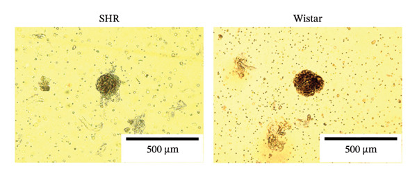Figure 17