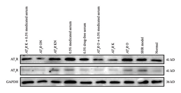 Figure 24