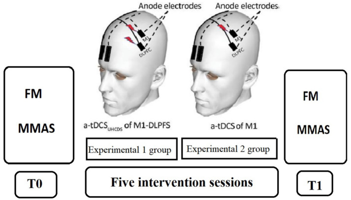 Figure 2