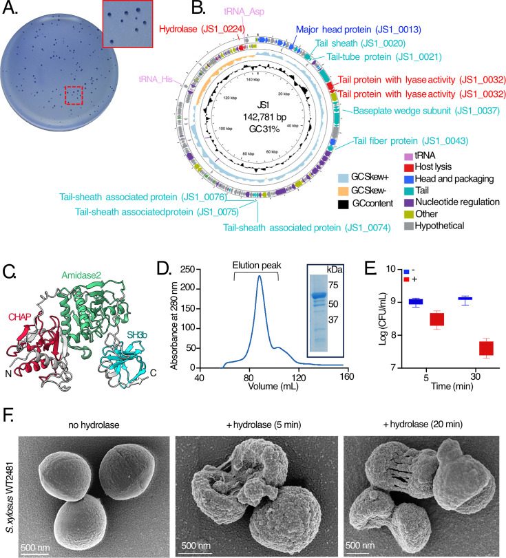 Figure 2