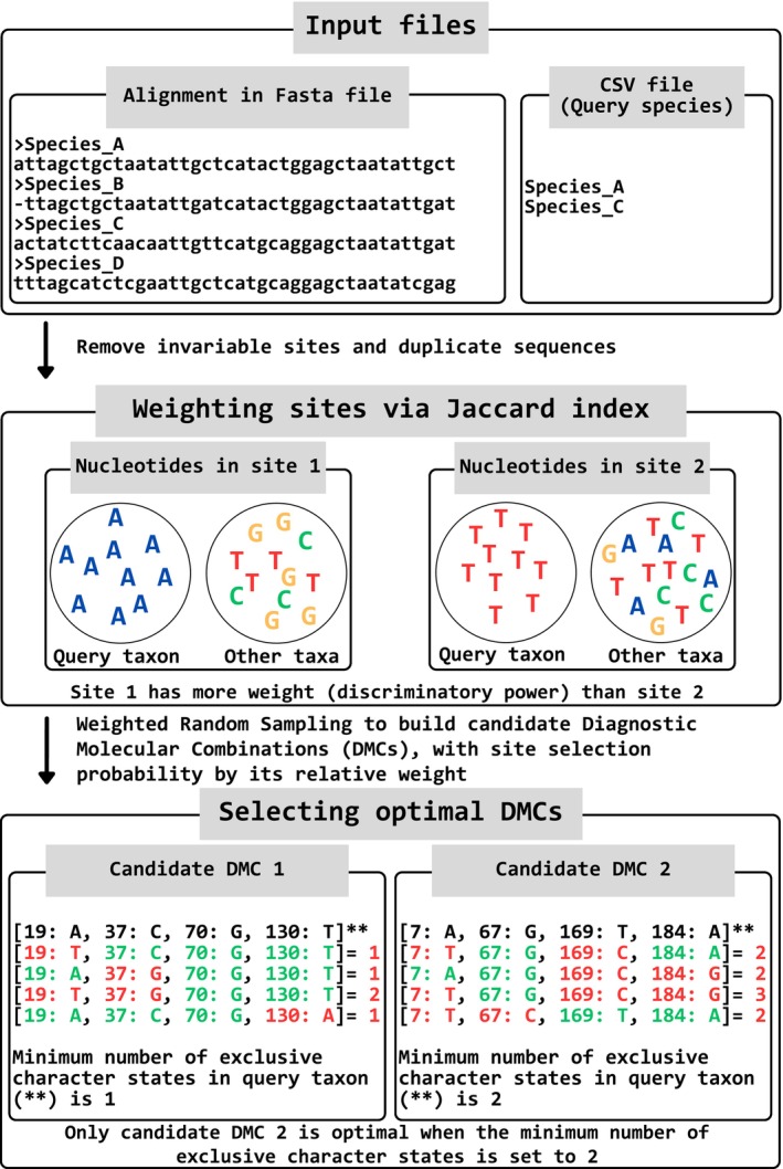 Figure 5