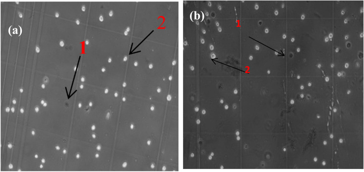 Figure 13