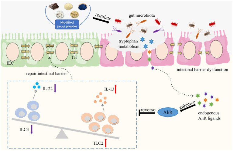 Figure 12