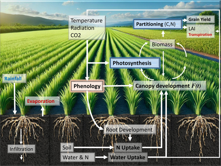 Figure 49